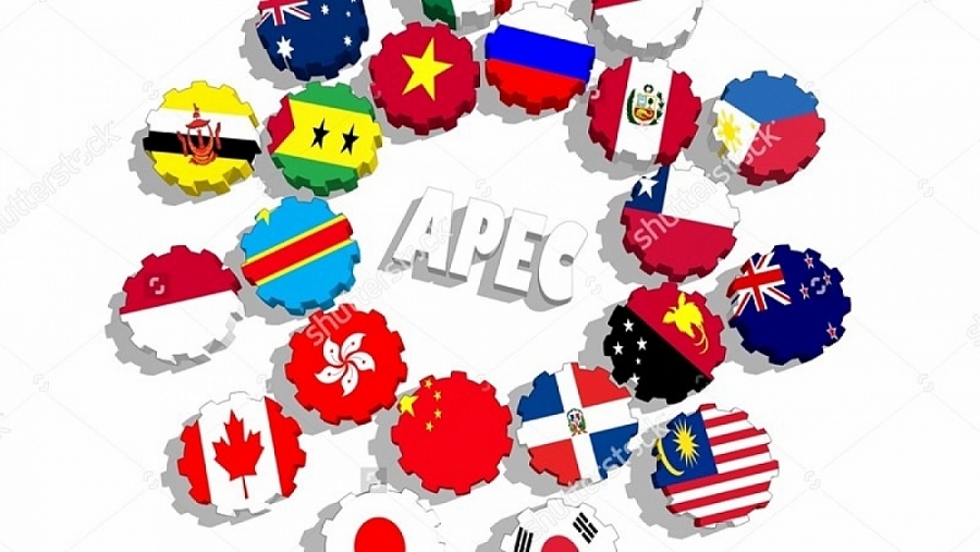 Vietnam plays by the rules as it increases its role in APEC